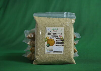 DSC_4292 (1) DSC_4292 (1)